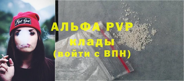 гашик Белокуриха
