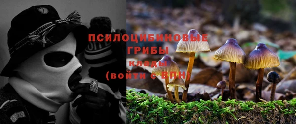 гашик Белокуриха